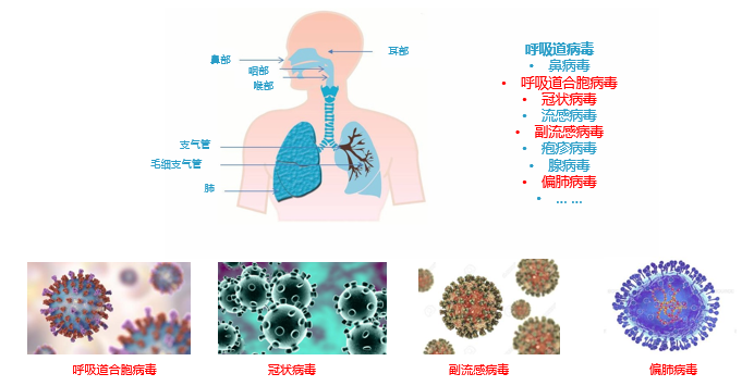微信圖片_20200519104628.png